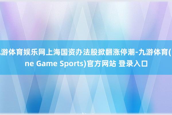 九游体育娱乐网上海国资办法股掀翻涨停潮-九游体育(Nine Game Sports)官方网站 登录入口