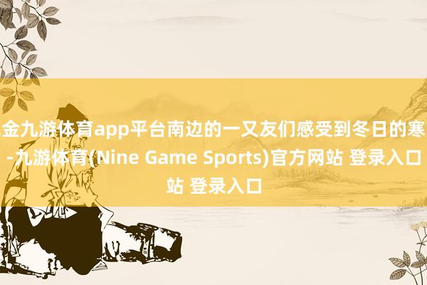 现金九游体育app平台南边的一又友们感受到冬日的寒意-九游体育(Nine Game Sports)官方网站 登录入口