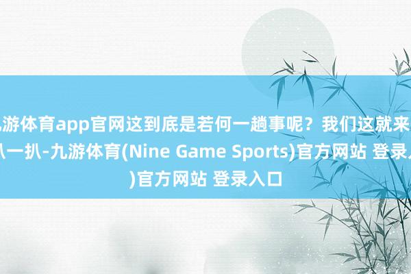 九游体育app官网这到底是若何一趟事呢?我们这就来细细扒一扒-九游体育(Nine Game Sports)官方网站 登录入口