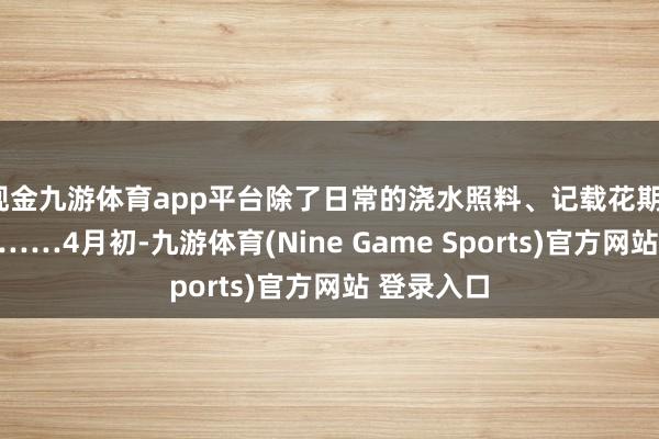 现金九游体育app平台除了日常的浇水照料、记载花期、杂交育种……4月初-九游体育(Nine Game Sports)官方网站 登录入口